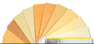 spatula stuccos fan deck